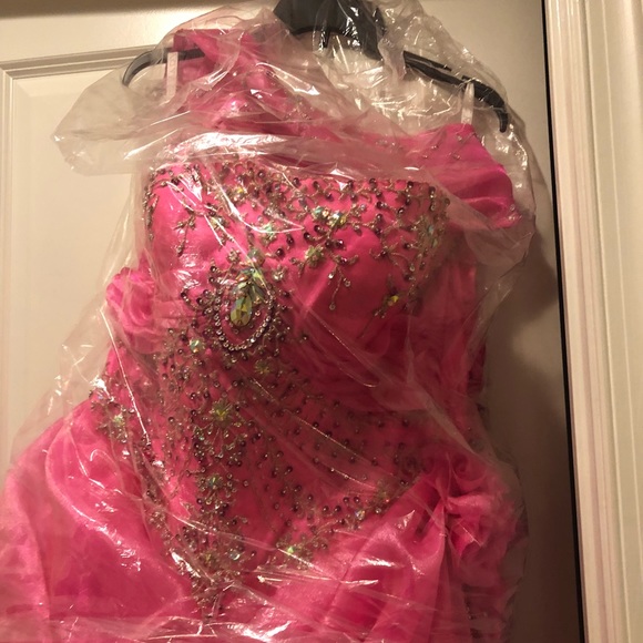 Quinceañera/Prom Dress - Picture 2 of 8